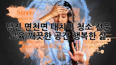 당진 면천면 대치리 청소 전문 교육: 깨끗한 공간, 행복한 삶